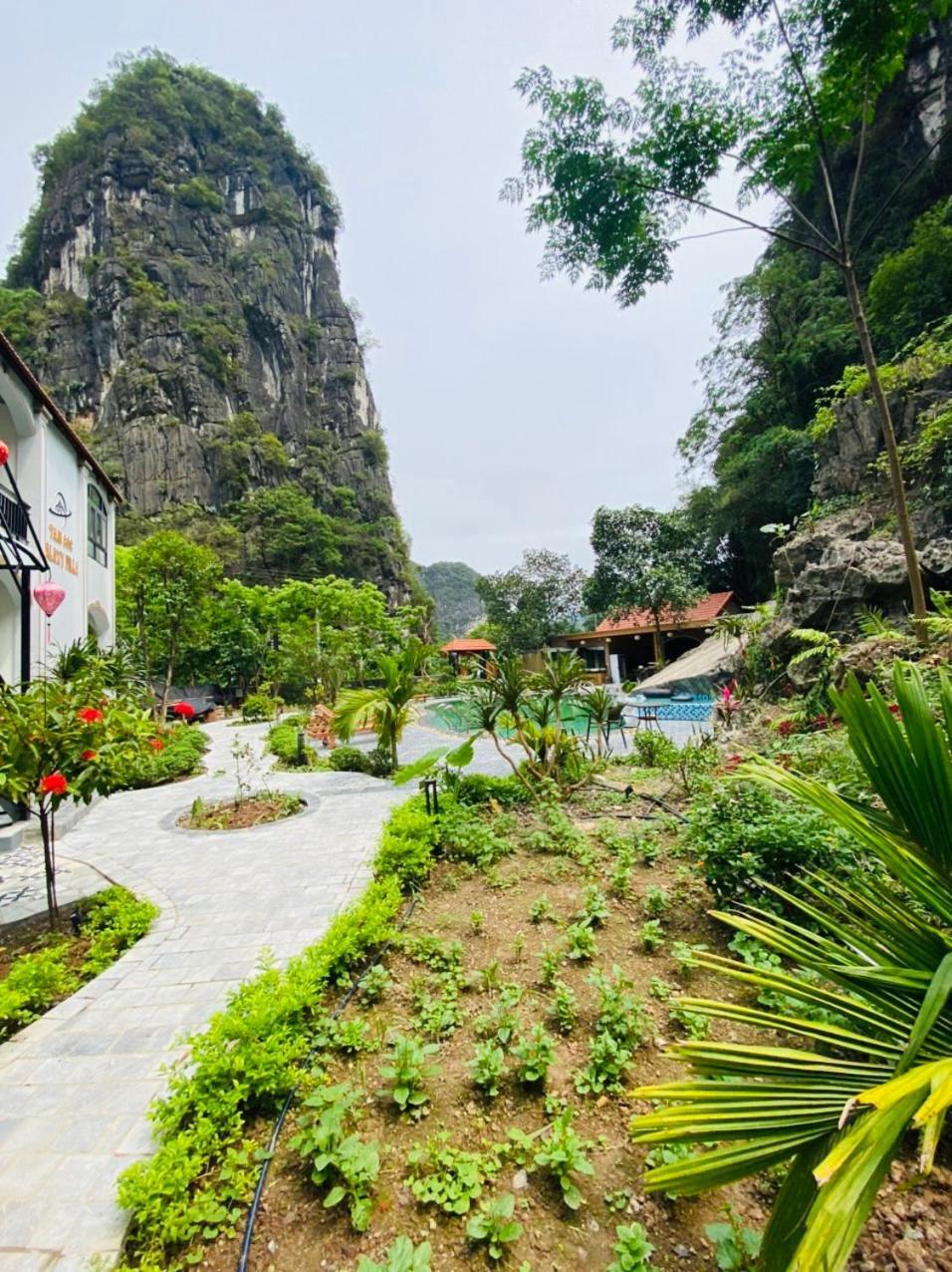 Tam Coc Galaxy Villa Ninh Binh Eksteriør bilde